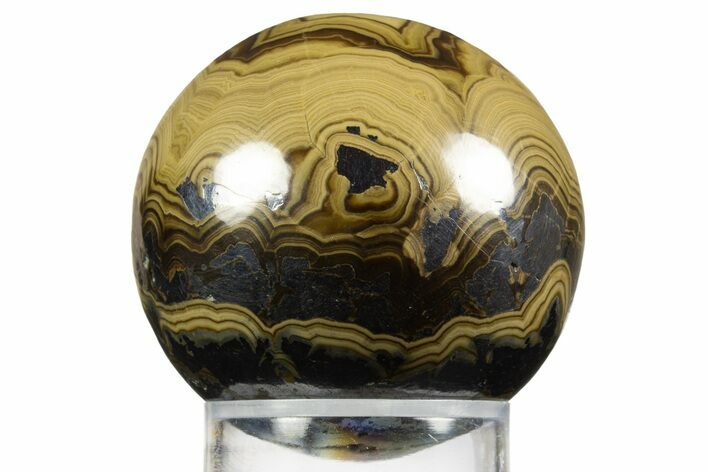 Polished Schalenblende Sphere - Poland #336532